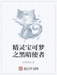 精灵宝可梦之黑暗使者