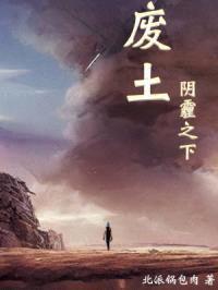 废土:阴霾之下