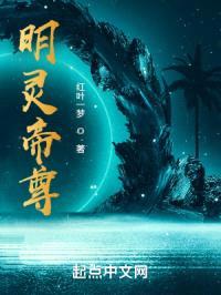 明灵帝尊