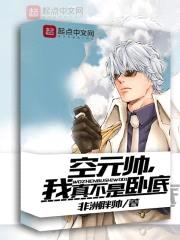 空元帅,我真不是卧底