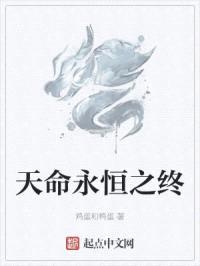 天命永恒之终