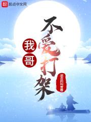 我哥不爱打架