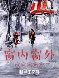 窗内窗外:分割的世界