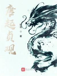 唐起贞观