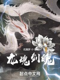 龙魂剑魄