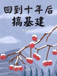 回到十年后搞基建