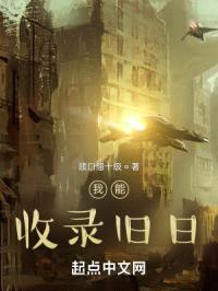 我能收录旧日