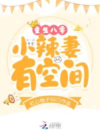 重生八零小辣妻有空间