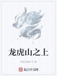 龙虎山之上