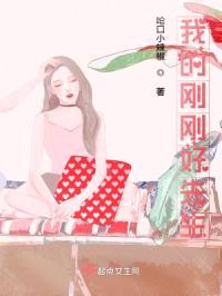 我的刚刚好先生