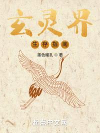 玄灵界生存指南