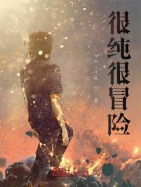 很纯很冒险