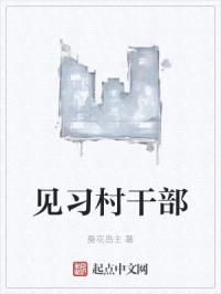 见习村干部