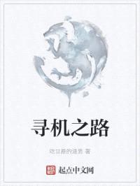 寻机之路