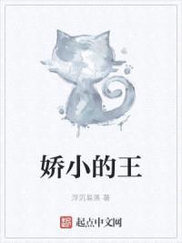 娇小的王