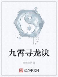 九霄寻龙诀