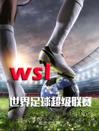 WSL世界足球超级联赛