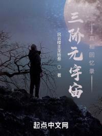 三阶元宇宙真相回忆录