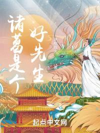 诸葛是个好先生