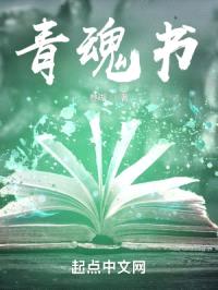 青魂书