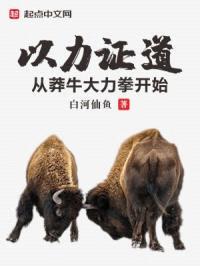 以力证道：从莽牛大力拳开始
