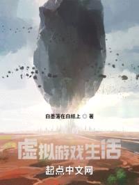 我的虚拟游戏生活