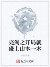 亮剑之开局就碰上山本一木