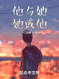 他与她她或他