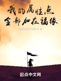 我的属性点全部加在福缘