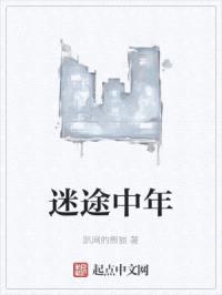 迷途中年