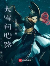 大雪问心路