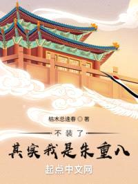 不装了,其实我是朱重八