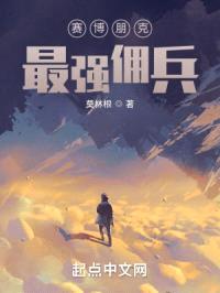 赛博朋克：北加州最强佣兵