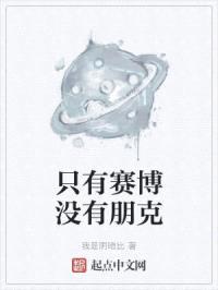 只有赛博没有朋克