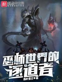 巫师世界的逐道者