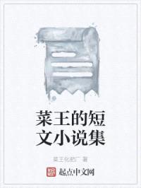 菜王的短文小说集