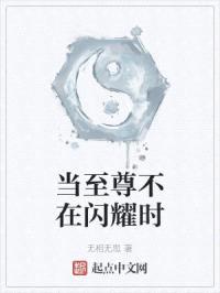 当至尊不在闪耀时