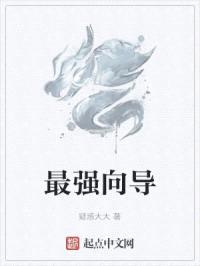 最强向导