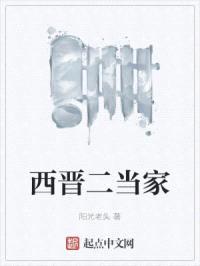 西晋二当家