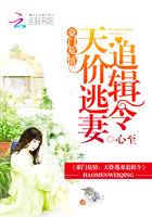 豪门危情:天价逃妻追缉令