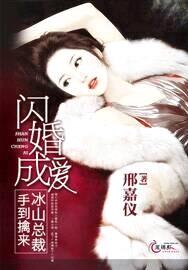 闪婚成爱:冰山总裁手到擒来
