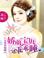 宠婚潜规则:娇萌宝贝,乖乖睡