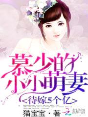 待嫁5个亿:慕少的小小萌妻
