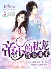 帝少的私宠:娇妻难求