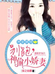 神帝锁情:别跑,神偷小娇妻