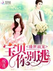 盛世溺宠:宝贝你别逃