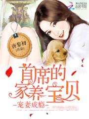 宠妻成瘾:首席的家养宝贝
